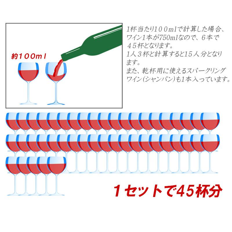 ワインセット パーティ 6本 飲み比べ赤ワイン 白ワイン wine set 父の