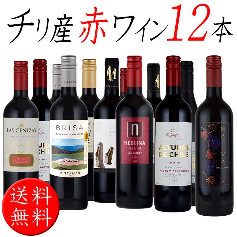 チリ ワイン 赤 12本セット 飲み比べ wine set バレンタイン : 神田
