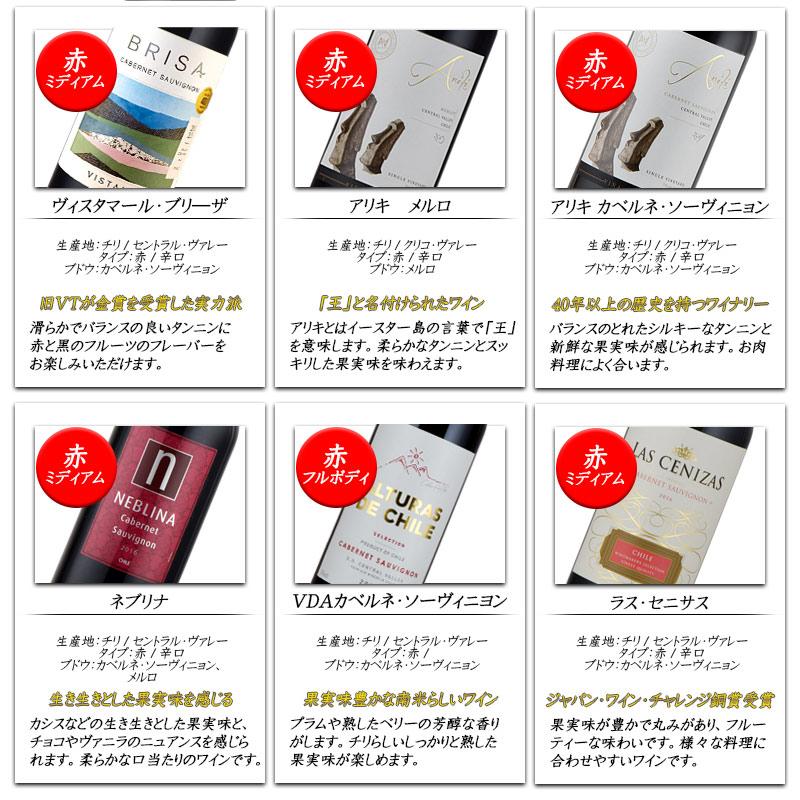 チリ ワイン 赤 12本セット 飲み比べ wine set バレンタイン : 神田