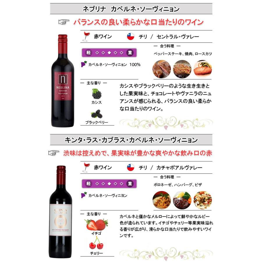 チリ産赤ワイン 12本 飲み比べセット 750ml×12本 母の日 : 神田商店