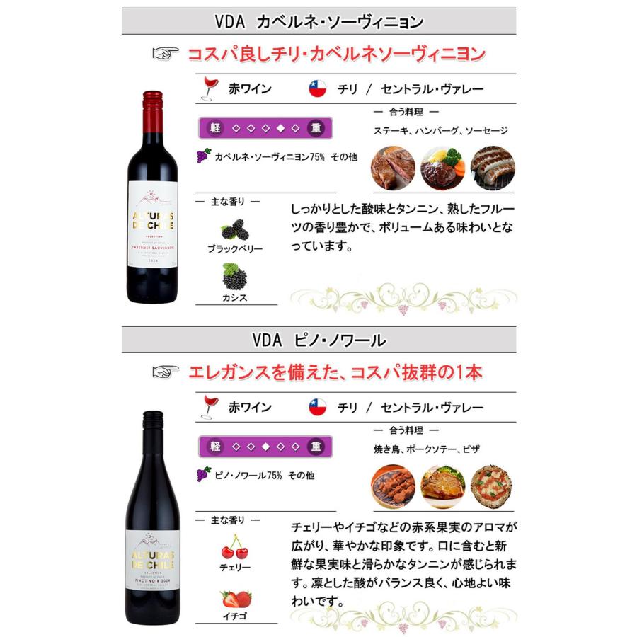 チリ産赤ワイン 12本 飲み比べセット 750ml×12本 ホワイトデー : 神田