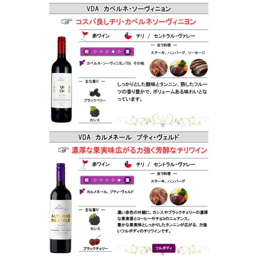 チリ産赤ワイン 12本 飲み比べセット 750ml×12本 母の日 : 神田商店