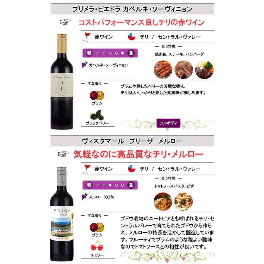 チリ産赤ワイン 12本 飲み比べセット 750ml×12本 父の日 : 神田商店