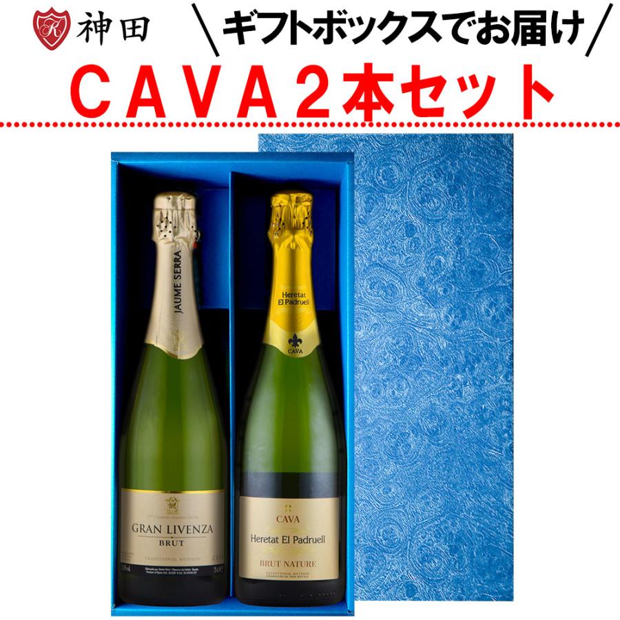 スパークリング ワイン ギフト 2本 セット スペイン カバ 辛口 極辛口