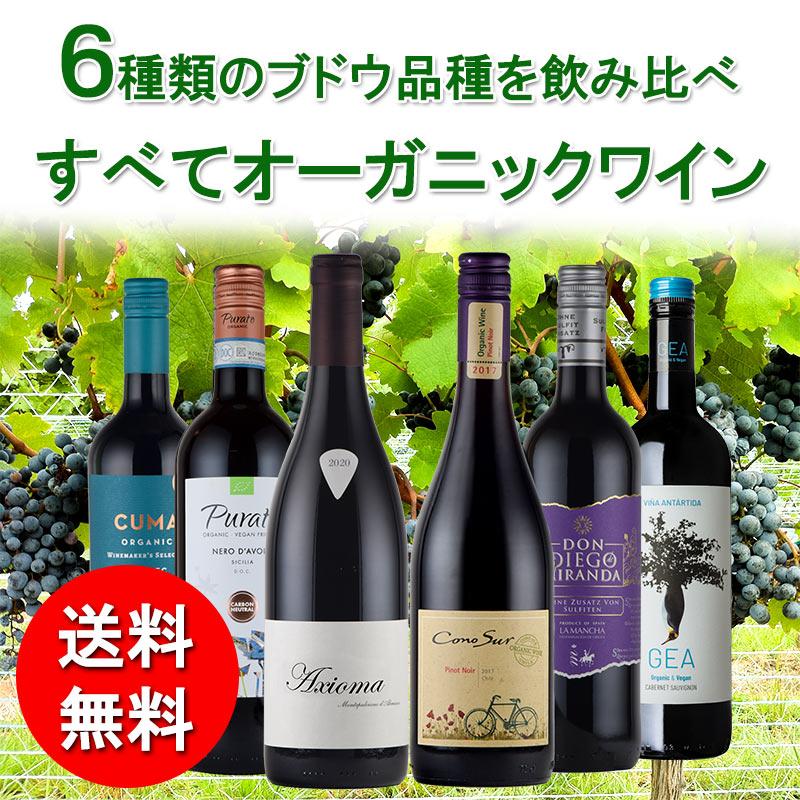 オーガニック 赤 ワイン 品種別 飲み比べ ６本 セット フランス イタリア アルゼンチン チリ コノスル ビオワイン 入り 母の日｜kandasyouten｜02