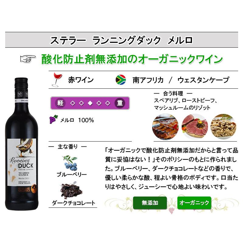 オーガニック 赤 ワイン 品種別 飲み比べ ６本 セット フランス イタリア アルゼンチン チリ コノスル ビオワイン 入り 父の日｜kandasyouten｜06