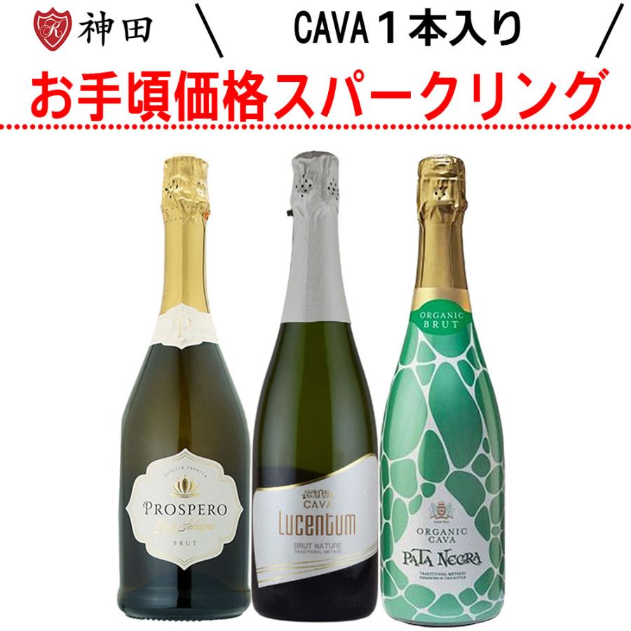 厳選 スパークリング ワイン セット 3 本 辛口 飲み比べ スペイン