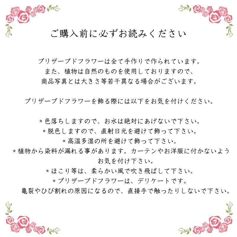 お中元 プレゼント オシャレ な 瓶 の プリザーブドフラワー と トリプル 金賞 赤 ワイン の ギフト セット 神田商店 通販 Yahoo ショッピング