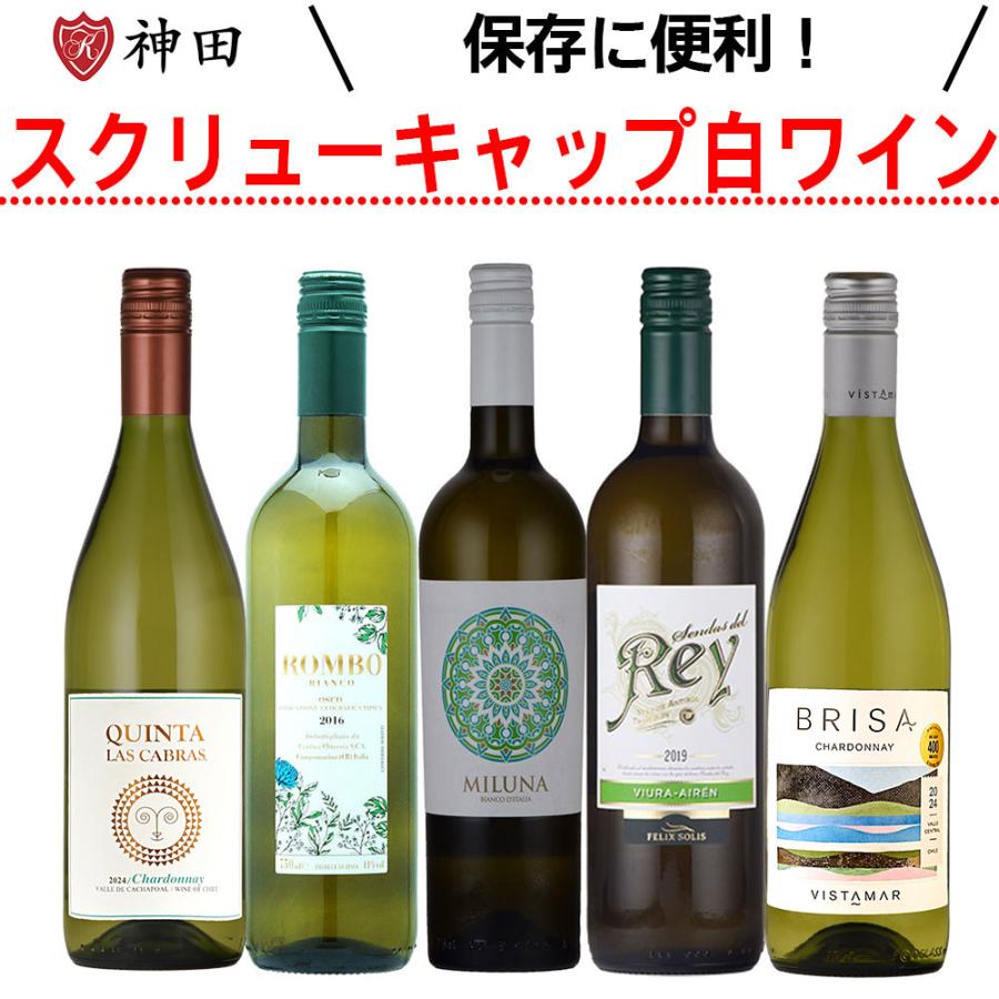スクリューキャップ 白 ワイン 5本 セット ホワイトデー : 神田商店