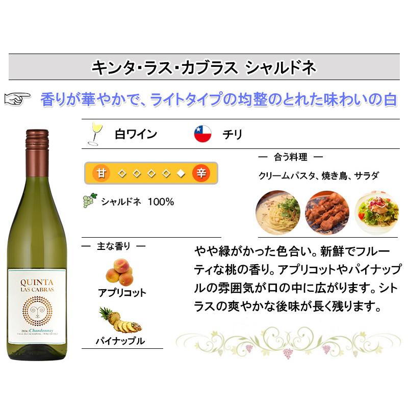 スクリューキャップ 白 ワイン 5本 セット 父の日 : 神田商店 - 通販