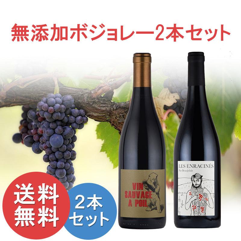 オーガニック ボジョレー赤ワイン2本セット 酸化防止剤 無添加 
