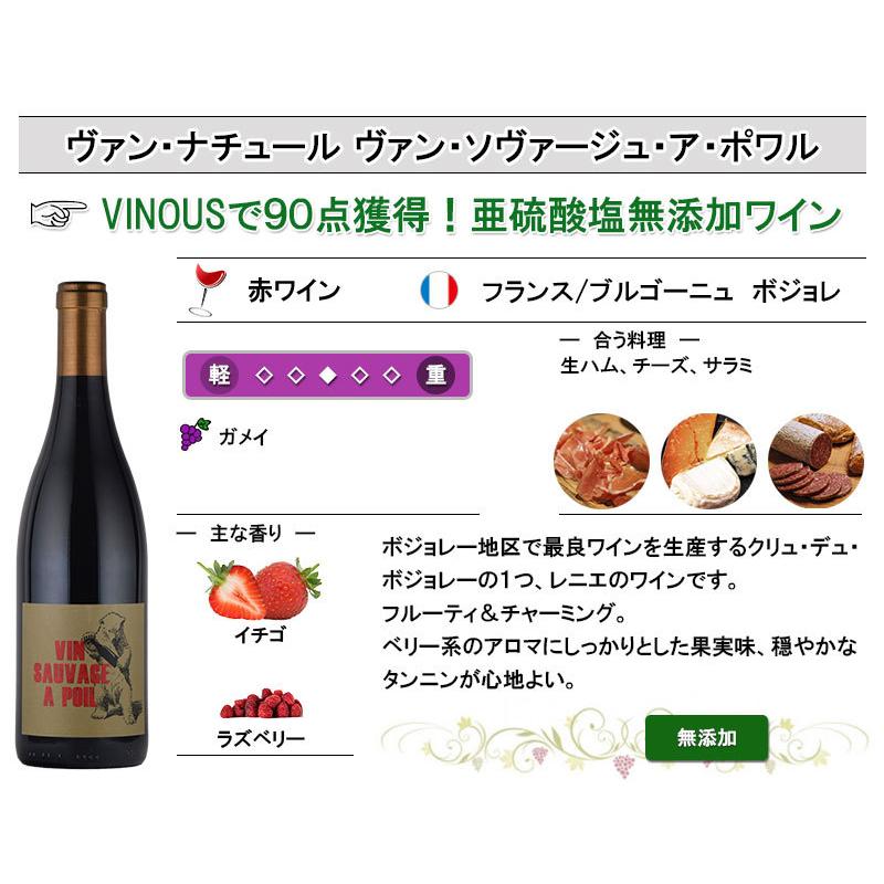 オーガニック ボジョレー赤ワイン2本セット 酸化防止剤 無添加 