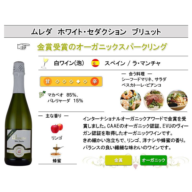 専用出品 フォロー割 銀牙様