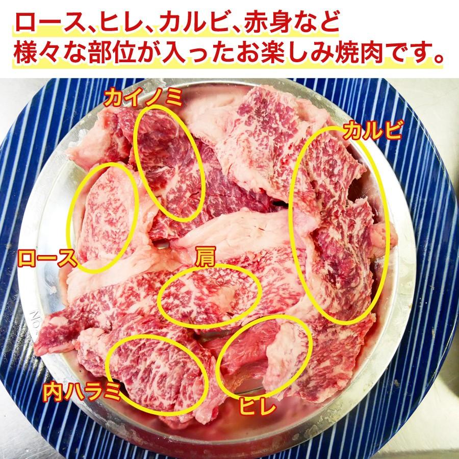 送料無料 訳あり 日本一の和牛鹿児島黒牛焼肉 400g 2パック K K いい肉 Com Yahoo 店 通販 Yahoo ショッピング