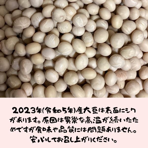 2023年 令和5年産【無農薬・無化学肥料大豆1kg（外装ビニール含 