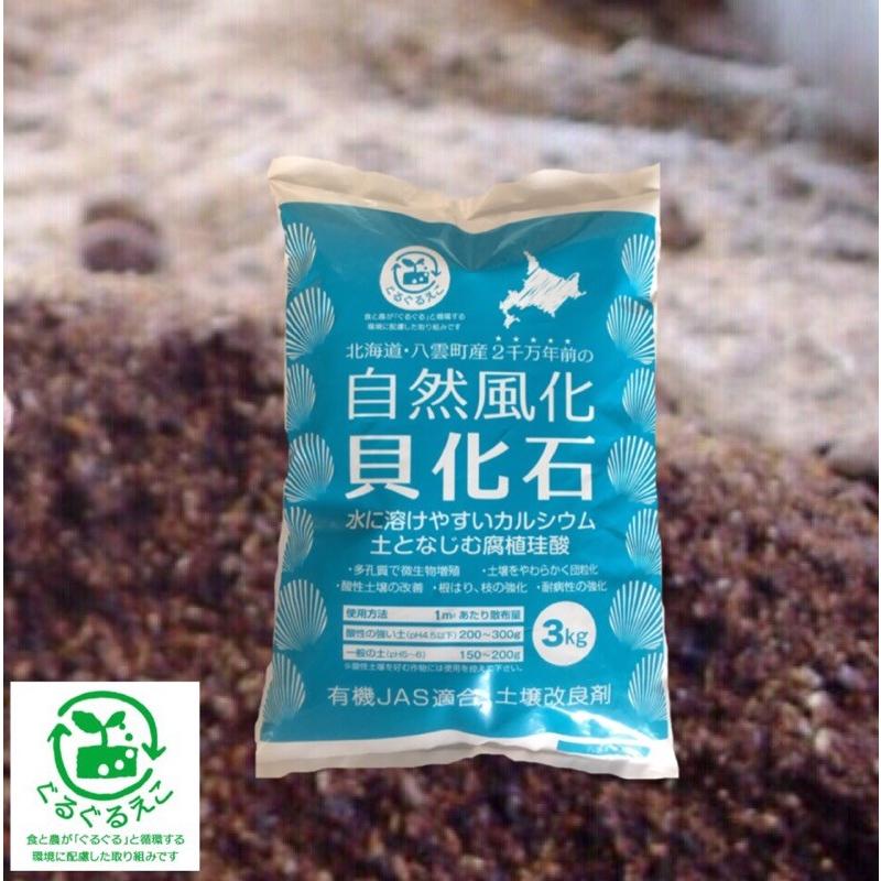 自然風化貝化石 3kg】 天然カルシウム 根張り・耐病性の強化に 土壌