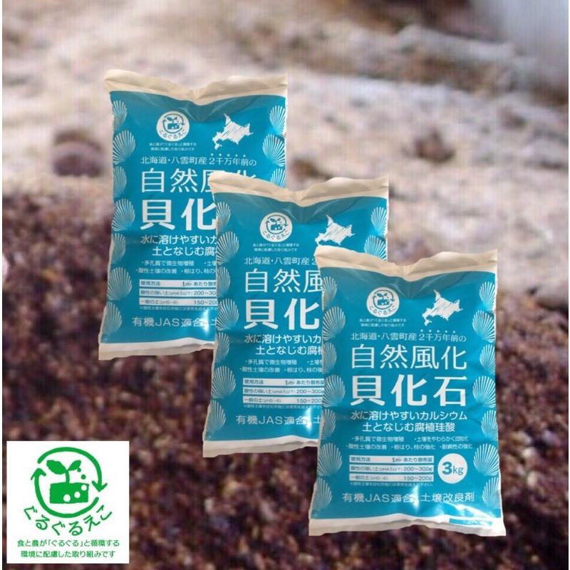 自然風化貝化石 3kg×3袋】 天然カルシウム 根張り・耐病性の強化に 