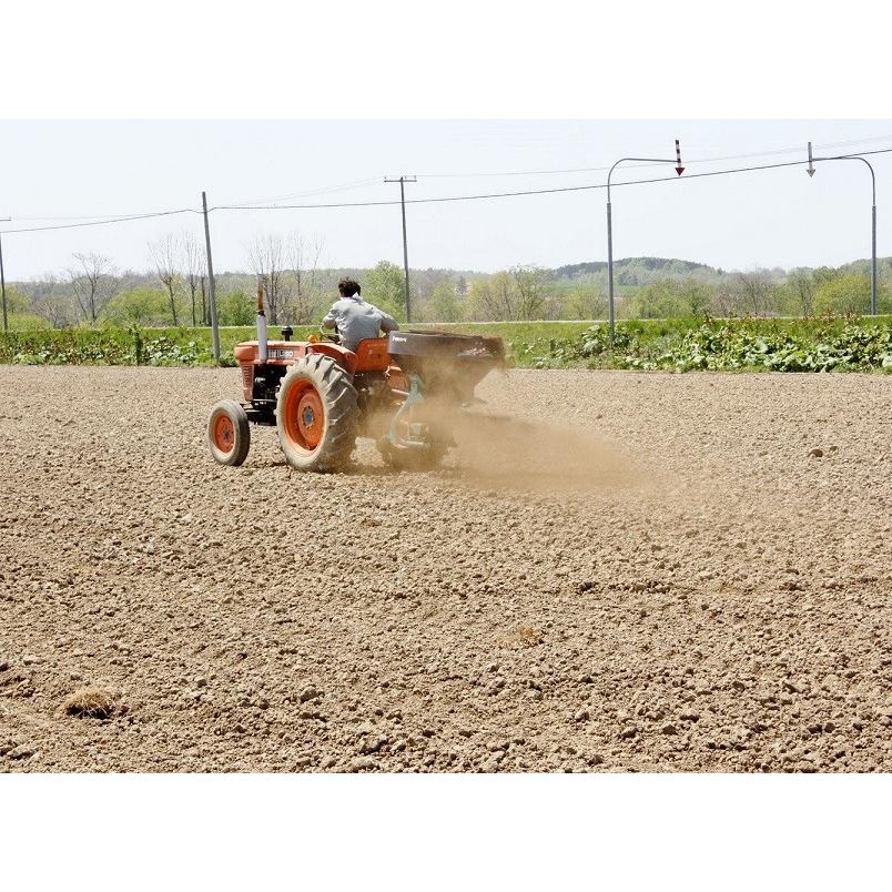 令和7年産 特別栽培ゆめぴりか 玄米 10kg】特別栽培 今摺り米 減農薬