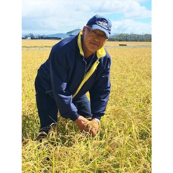 令和7年産 特別栽培ゆめぴりか 玄米 10kg】特別栽培 今摺り米 減農薬
