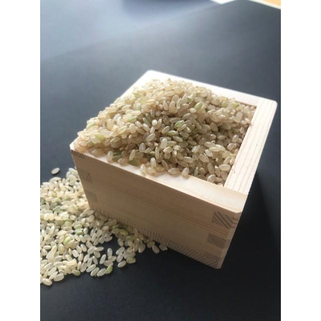 令和6年産 特別栽培ゆめぴりか 玄米 5kg】特別栽培 減農薬