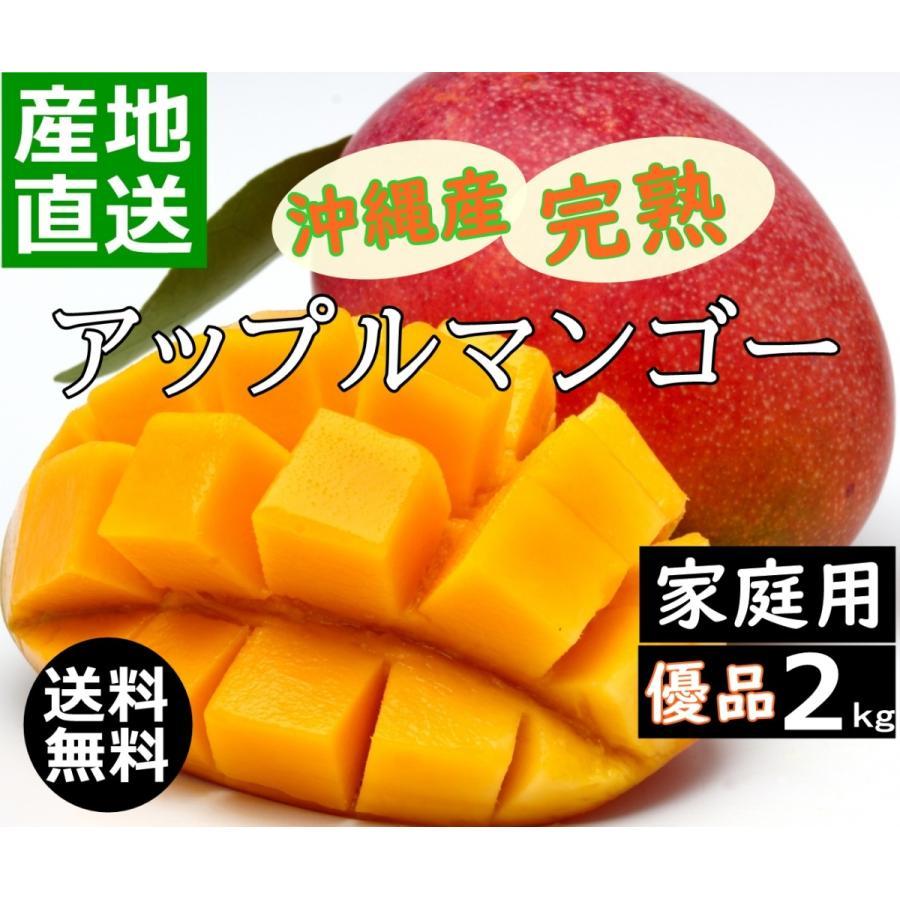 マンゴー 沖縄産 家庭用 優品 4玉〜6玉 約2kg 甘~い 美味しい 完熟