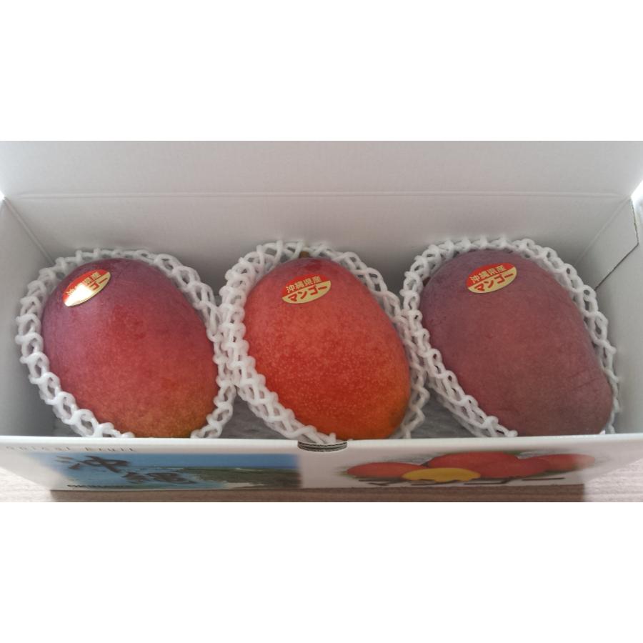 マンゴー 沖縄産 贈答用 秀品　約1kg（2玉〜4玉入り） 沖縄県糸満産 完熟アップルマンゴー お中元　夏ギフト |  | 02