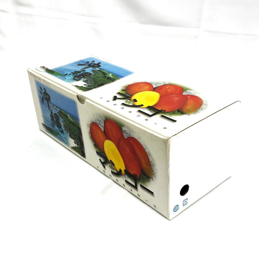 マンゴー 沖縄産 贈答用 秀品　約1kg（2玉〜4玉入り） 沖縄県糸満産 完熟アップルマンゴー お中元　夏ギフト |  | 04