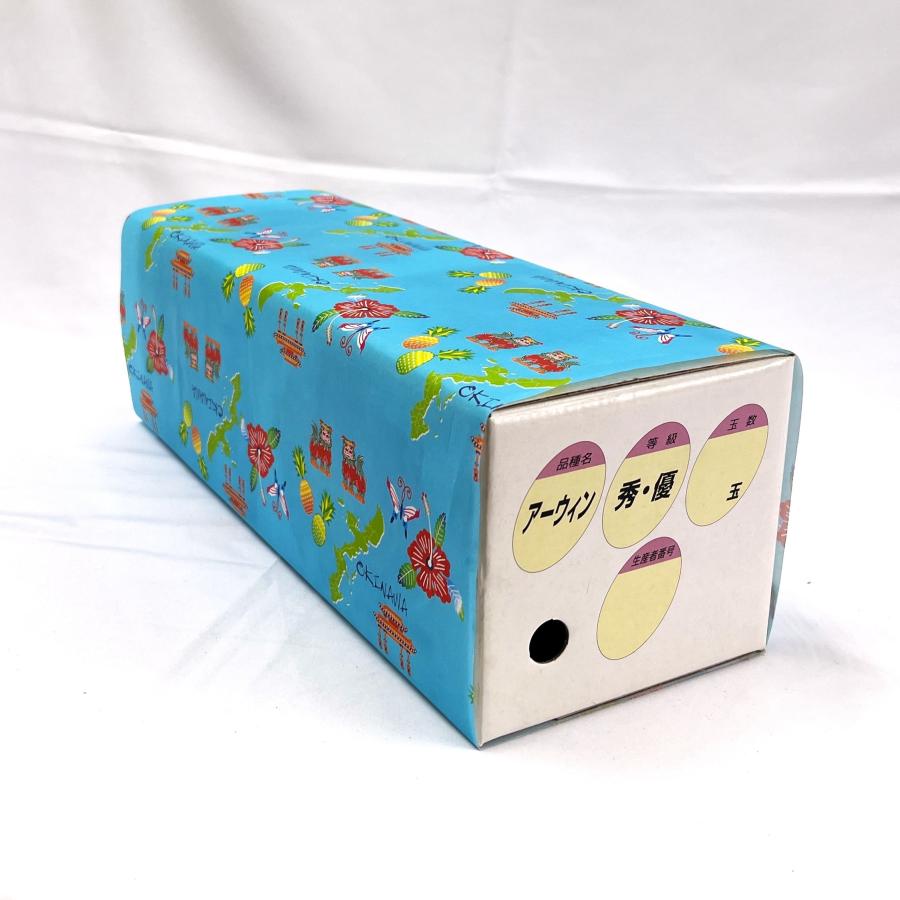 マンゴー 沖縄産 贈答用 秀品　約1kg（2玉〜4玉入り） 沖縄県糸満産 完熟アップルマンゴー お中元　夏ギフト |  | 05