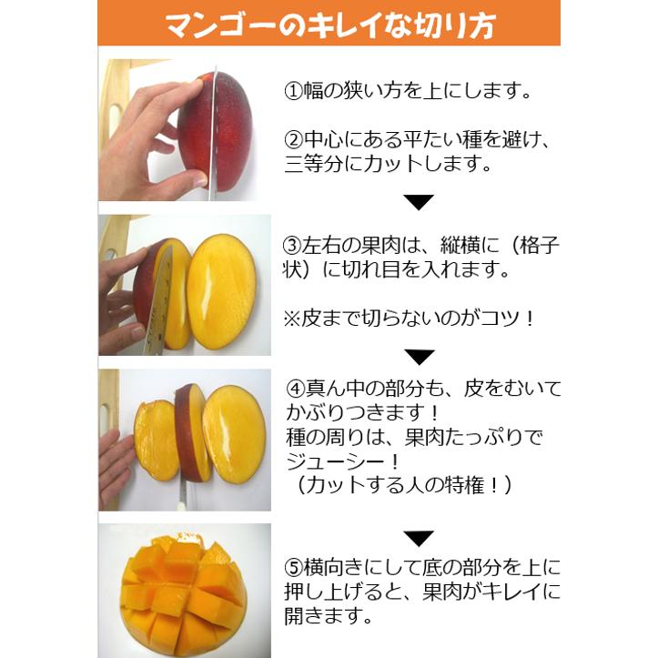 マンゴー 沖縄産 贈答用 秀品　約1kg（2玉〜4玉入り） 沖縄県糸満産 完熟アップルマンゴー お中元　夏ギフト |  | 09