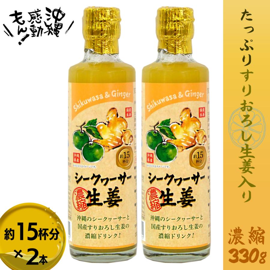 シークヮーサー生姜 2本 生姜ドリンク 沖縄 送料無料 濃縮 シークワサー ジンジャエール ホットジンジャー  すりおろし | 