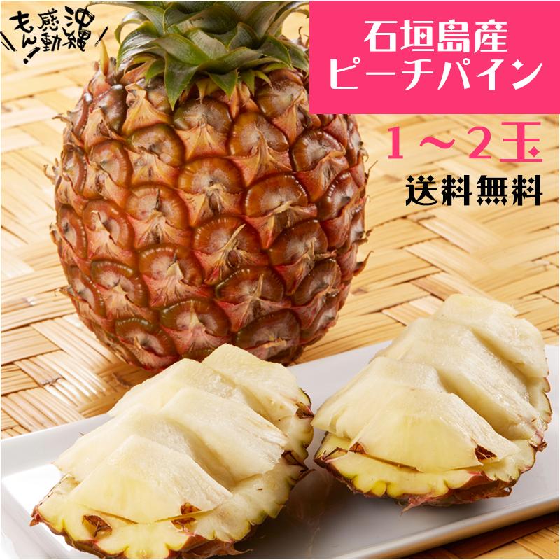 パイン 石垣島産 ピーチパイン パイナップル 送料無料 ピーチ種  約1kg(1〜2玉) 常温 4月下旬以降出荷予定 予約 パインアップル | 