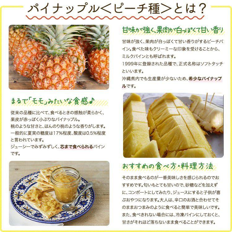 パイン 石垣島産 ピーチパイン パイナップル 送料無料 ピーチ種  約1kg(1〜2玉) 常温 4月下旬以降出荷予定 予約 パインアップル |  | 01