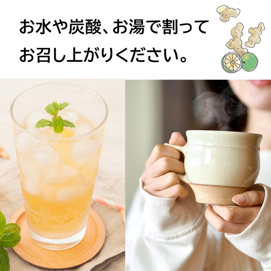 生姜飲料 シークワーサー生姜6本 沖縄 高知 ジンジャー 生姜茶 冷え改善 ジンジャーティーシークワサー果汁 おきなわ |  | 02