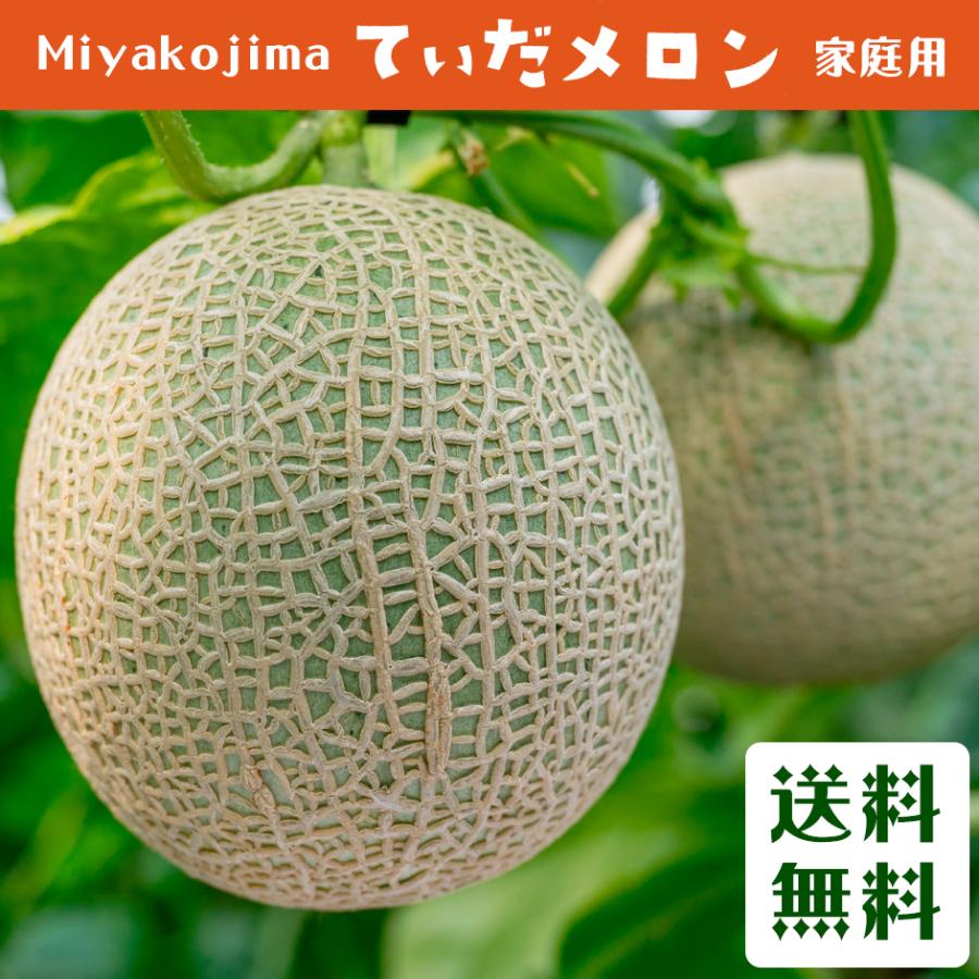 母の日 メロン 家庭用 宮古島 1玉 送料無料 アールスメロン マスクメロン 妃 産地直送 赤肉メロン ギフト 予約 沖縄 きさき | 