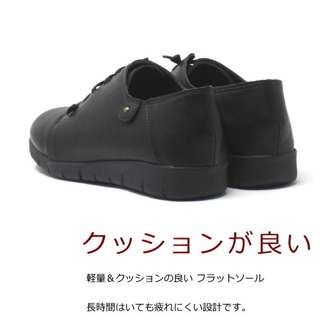 大きいサイズ 25 5cm 26cm 26 5cm 対応 靴 レディース 幅広 ワイズ3e 超軽量 ゴムひも シューズ 25 5cm 26cm 対応 1051tw Shoes047 Kando大きいサイズレディース靴 通販 Yahoo ショッピング