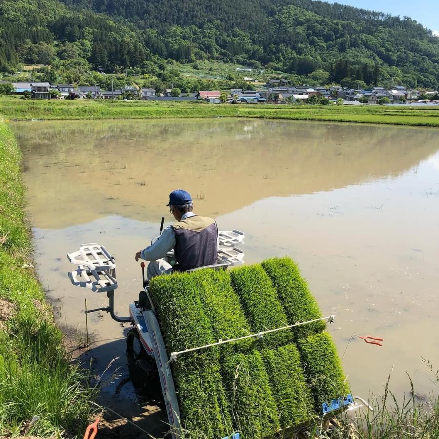 コシヒカリ 5kg お米 白米 長野 シャリ 5キロ 精米 日本米 プレゼント 
