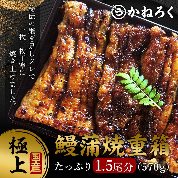 うな重 うなぎ 国産 570g ウナギ 鰻 鰻弁当 炭火焼き 浜松 土用 丑の日 ギフト お中元 お取り寄せ ごはん | 