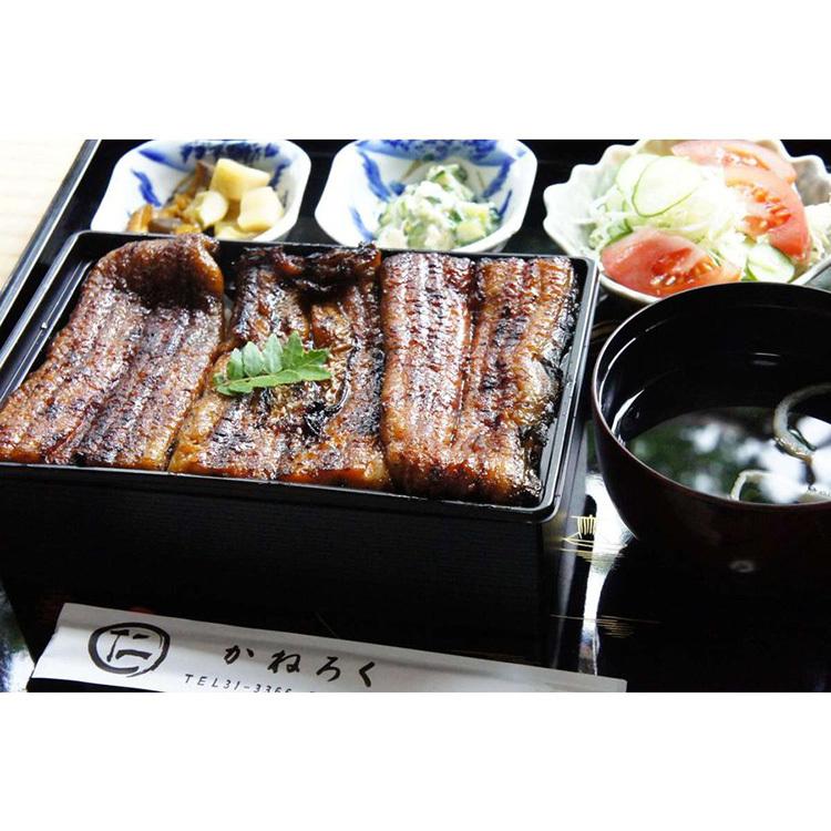 うな重 うなぎ 国産 570g ウナギ 鰻 鰻弁当 炭火焼き 浜松 土用 丑の日 ギフト お中元 お取り寄せ ごはん |  | 02