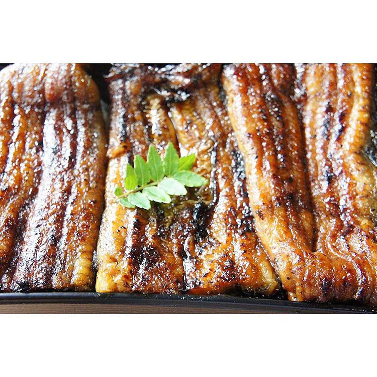 うな重 うなぎ 国産 570g ウナギ 鰻 鰻弁当 炭火焼き 浜松 土用 丑の日 ギフト お中元 お取り寄せ ごはん |  | 03
