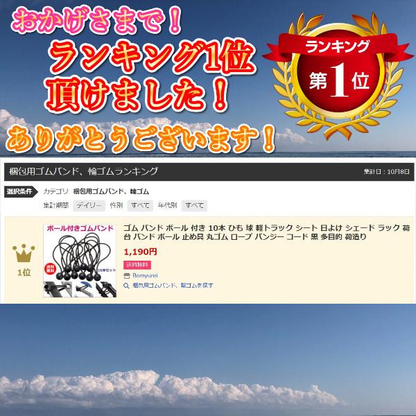最安値級価格 トラックシート ゴムひも ボール 長 10本 軽トラック