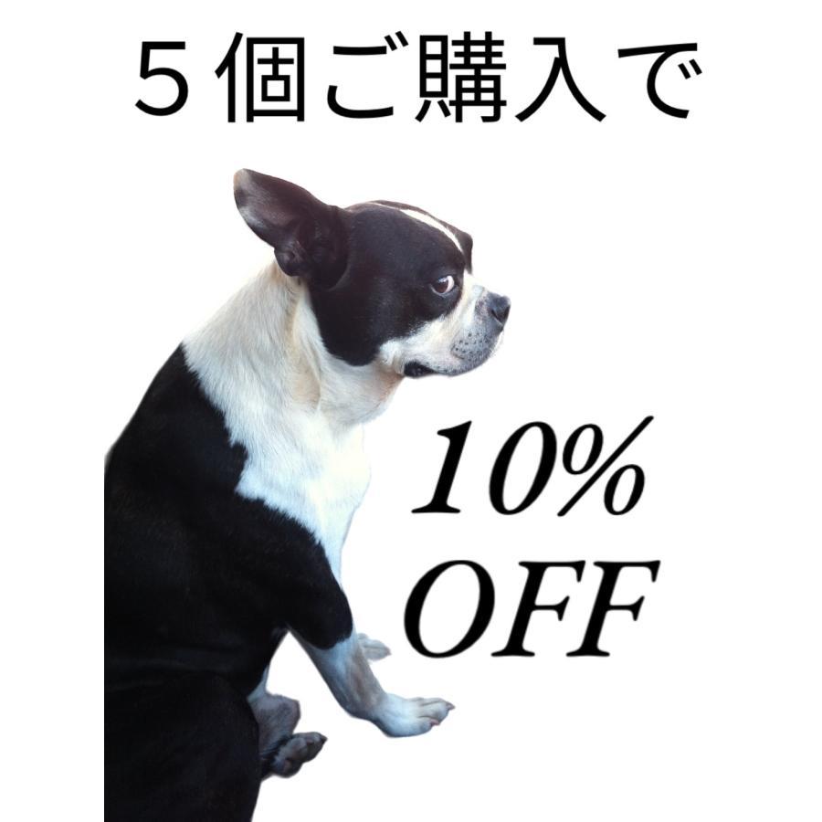 任天堂（Nintendo） 街へいこうよ どうぶつの森 ソフト ケース 説明書