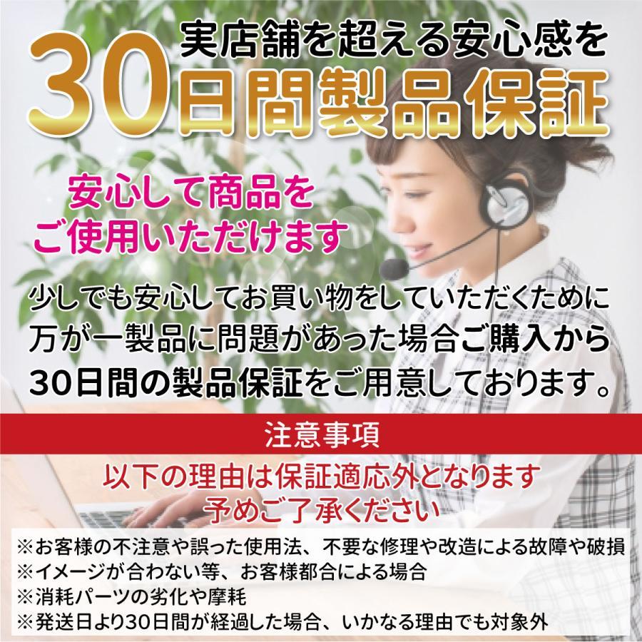 任天堂（Nintendo） 街へいこうよ どうぶつの森 ソフト ケース 説明書