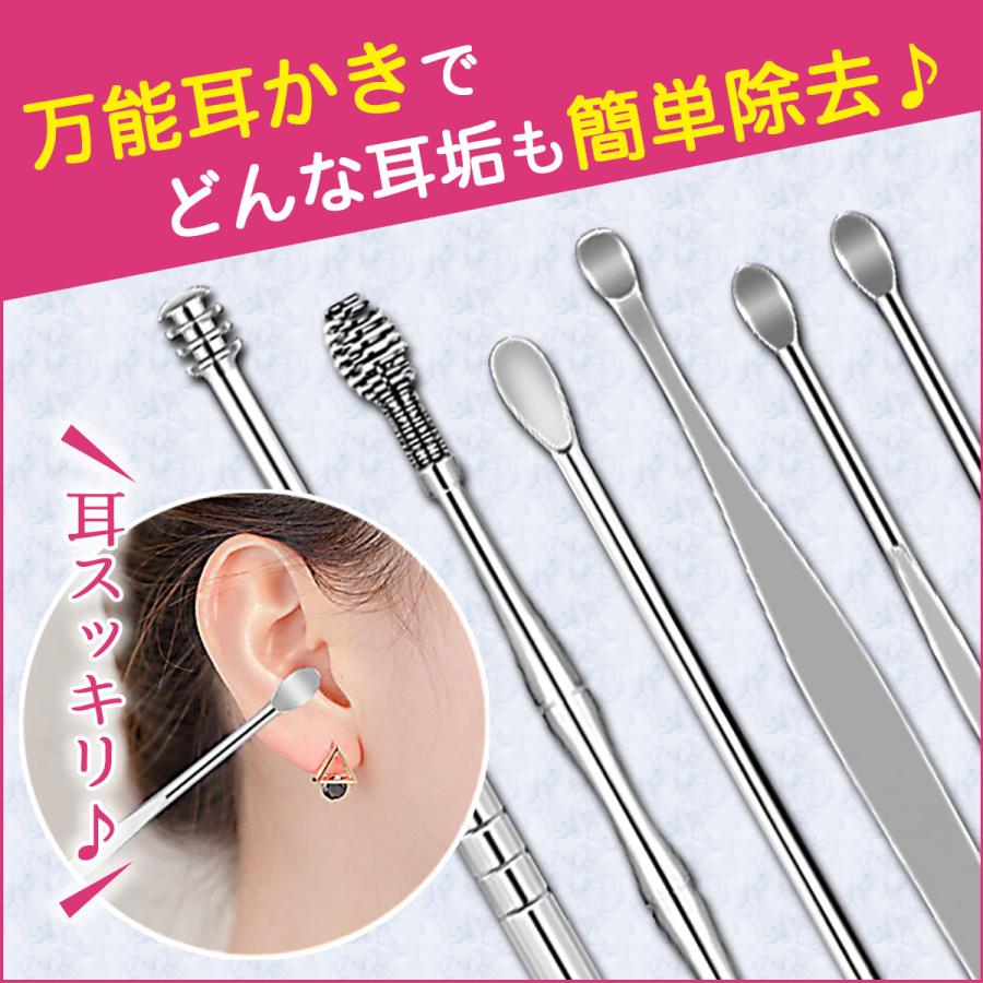 耳掃除 耳かき ステンレス 6点 ケース付き 耳用 大きい 小さい 手入れ