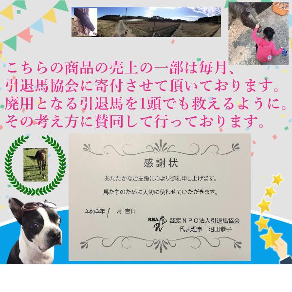 馬 エサ入れ 乾草バッグ ヘイバッグ 乗馬用品 干し草バッグ 馬用 