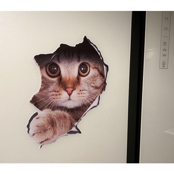 ネコちゃんステッカー リアル 3D ウォールステッカー 猫 騙し絵 