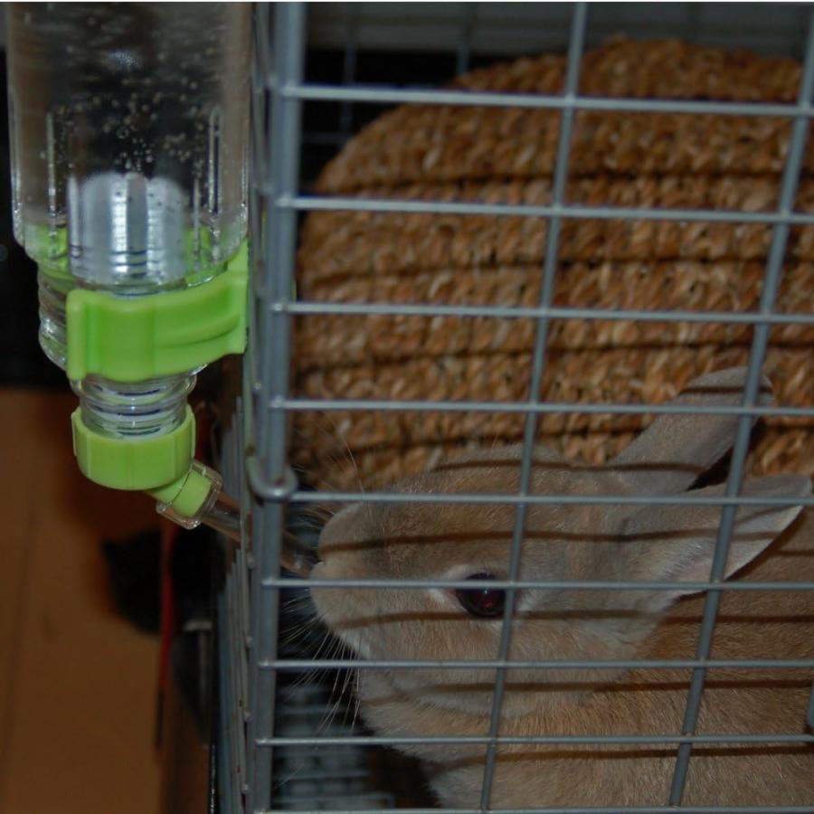 アニマン うさぎ 給水器 水飲み ペット ケージ 固定 みずのみ器 大容量