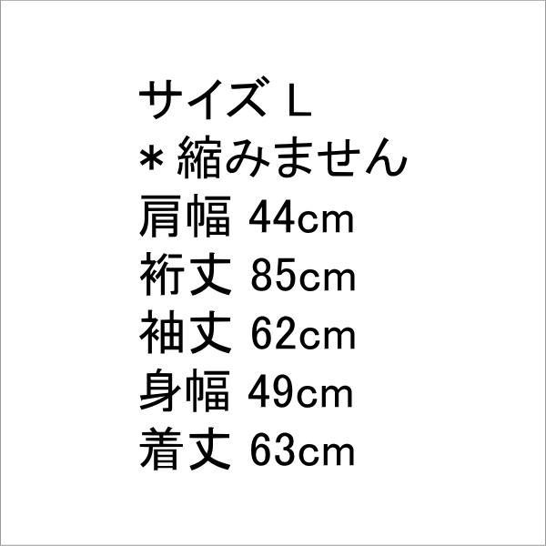 Denime（ドゥニーム） Denime 2nd type 507 日本製 ジージャン Gジャン