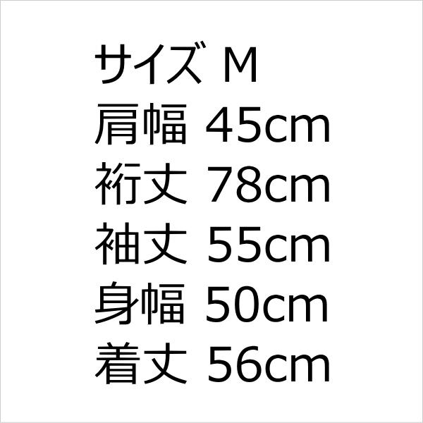 ダンサニー DAN SUNNY ストームライダージージャン G デニム