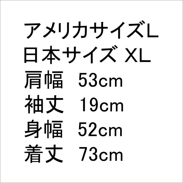 Tシャツ アメカジ 米国製 アメリカ製 USA製 アメリカサイズL　日本XL｜kaneko｜05