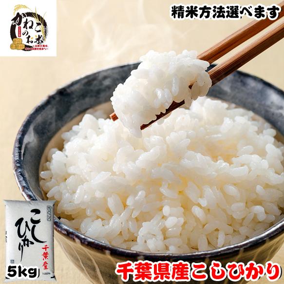 驚きの値段 お米 5kg 令和3年産 千葉県産 コシヒカリ 白米 玄米 五分搗き 七分搗き 御中元 お歳暮 お年賀 ギフト対応 米 Materialworldblog Com